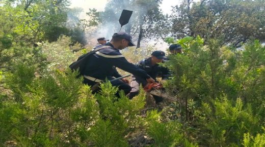 محلل سياسي : يجب على الحكومة تحمل مسؤوليتها وتعويض المتضررين جراء الحرائق التي أتت على ممتلكاتهم.