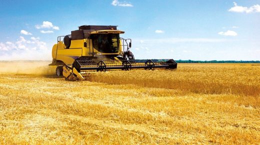 الإنتاج النهائي للحبوب الرئيسية لهذا الموسم ينخفض بنسبة 67 %