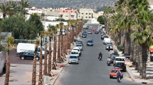انتقادات تطال غرس النخيل بدل الأشجار التي تمتص ثاني أوكسيد الكاربون بالمدن