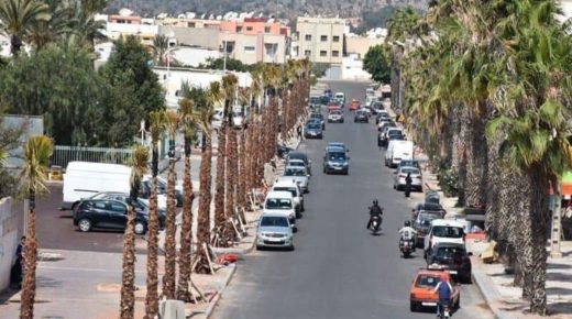 نشطاء يطالبون بتوقف التشجير العشوائي للنخيل خارج مجالها الواحي