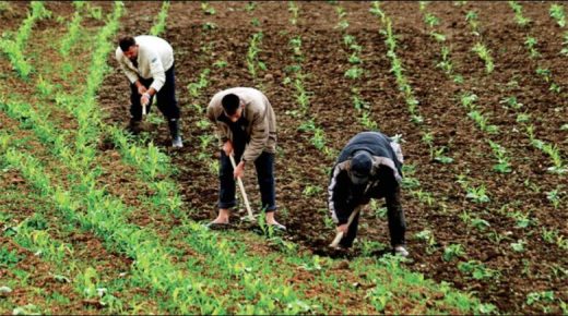 التساقطات المطرية الأخيرة بإفران تبشر بموسم فلاحي واعد