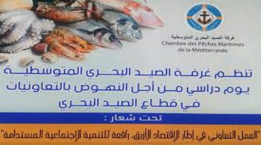 طنجة: تنظيم يوم دراسي حول دور التعاونيات في تنمية الاقتصاد الأزرق