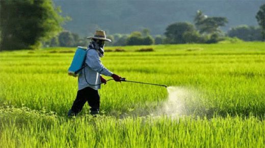 برلمانية تطرح معاناة الفلاحين الصغار الذين يعانون ثقل القروض