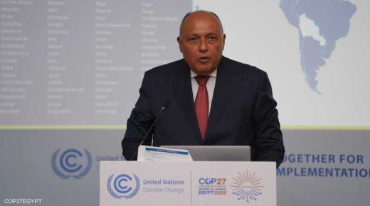 وزير الخارجية المصري يدعو الدول إلى إبداء التصميم على التوصل إلى توافق
