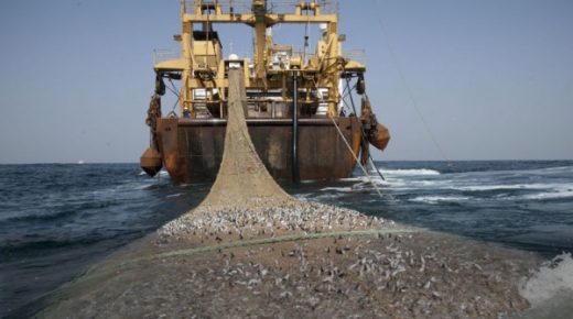 لقي بحاران مصرعهما وأصيب آخر بميناء الداخلة