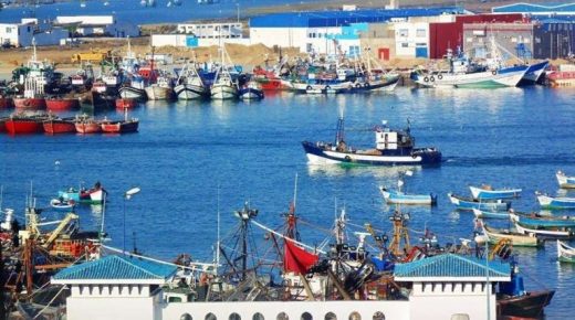 اختتام فعاليات الدورة التكوينية المنظمة في إطار محاربة الأمية الوظيفية بمدينة العرائش