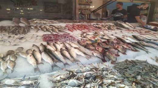 محمد صديقي يعد باتخاذ إجراءات من أجل خفض أسعار الأسماك