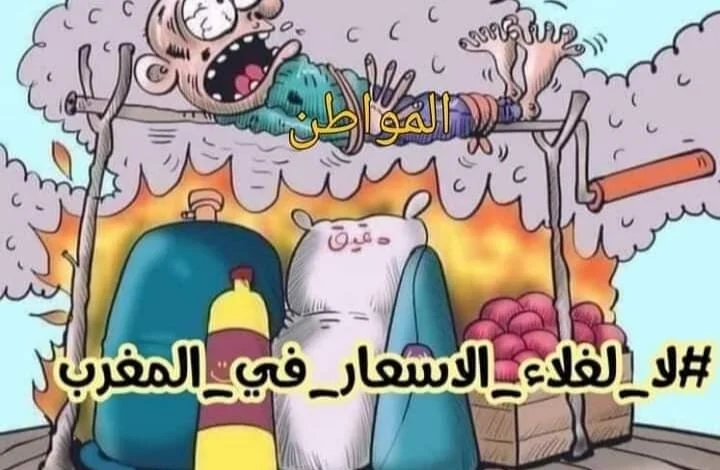 وصول أسعار أنواع من الخضر إلى مستويات قياسية
