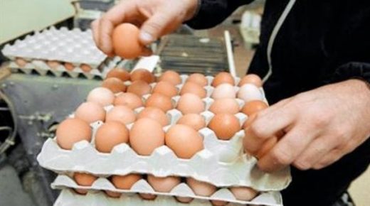 أسعار البيض عرفت ارتفاعا كبيرا في الأسواق الوطنية