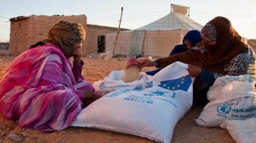 باحث صربي يقوم بمساءلة الجزائر بشأن مسؤوليتها عن التحويل الممنهج من قبل “البوليساريو”
