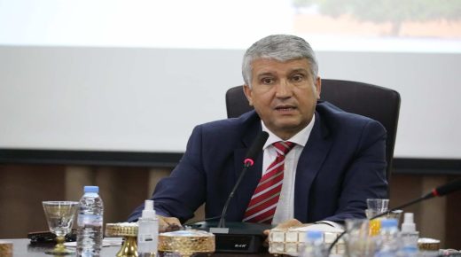 صديقي: المعرض الدولي للأركان محطة “جد مهمة” لتثمين سلسلة الأركان