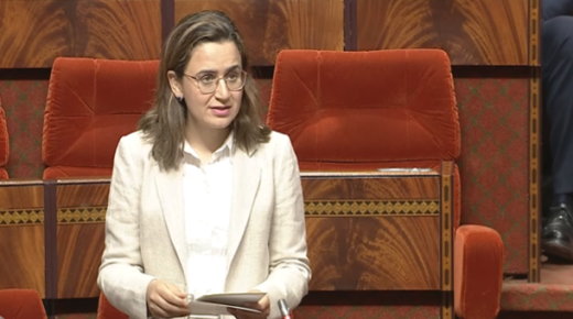 غيثة مزور: 1700 منطقة في المغرب تعيش مشاكل تتعلق باختلالات في تغطية شبكة الأنترنيت