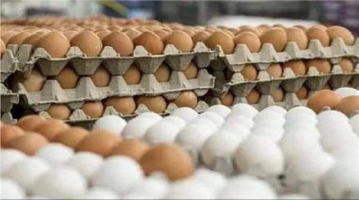 أسعار البيض تعرف انخفاضا طفيفا