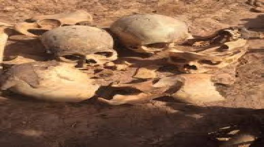 استنفار أمني اثر العثور على جماجم وعظام بشرية