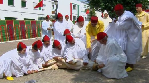 أمير المؤمنين يقوم بنحر أضحية عيد الاضحى المبارك