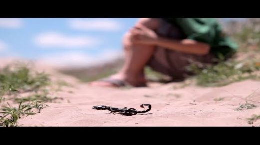 المكتب الإقليمي للعصبة المغربية ينتقد عدم توفر المؤسسات الصحية بالإقليم على الأمصال لاستقبال ضحايا لسعات العقارب