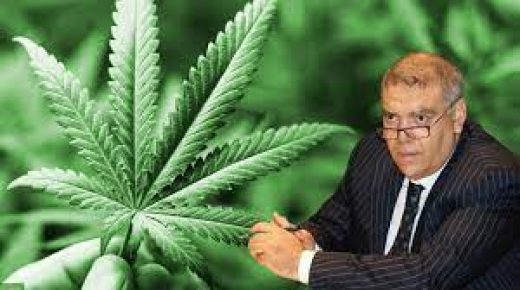 عبد الوافي لفتيت يعلن عن عدد التراخيص التي منحتها الوكالة الوطنية لتقنين القنب الهندي بإقليم تاونات