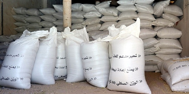 كمية الشعير المدعم التي تم توزيعها على الفلاحين بإقليم تارودانت بلغت أزيد من 57 ألف قنطار من الشعي
