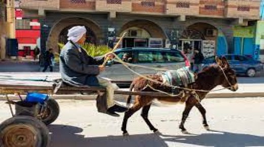 جماعة الدار البيضاء تبحث عن حل توافقي مع أصحاب العربات المجرورة