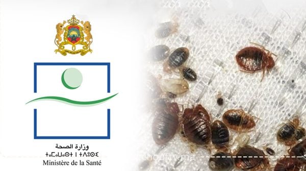 وزارة الصحة تتخذ كافة التدابير الملائمة للحد من خطر دخول وانتشار حشرة بق الفراش