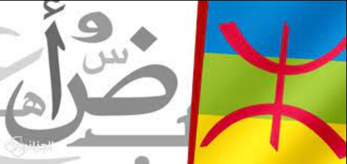 عضو فريق التقدم والاشتراكية بمجلس النواب ينتقد ما وصفه بـ”تهميش العربية والأمازيغية
