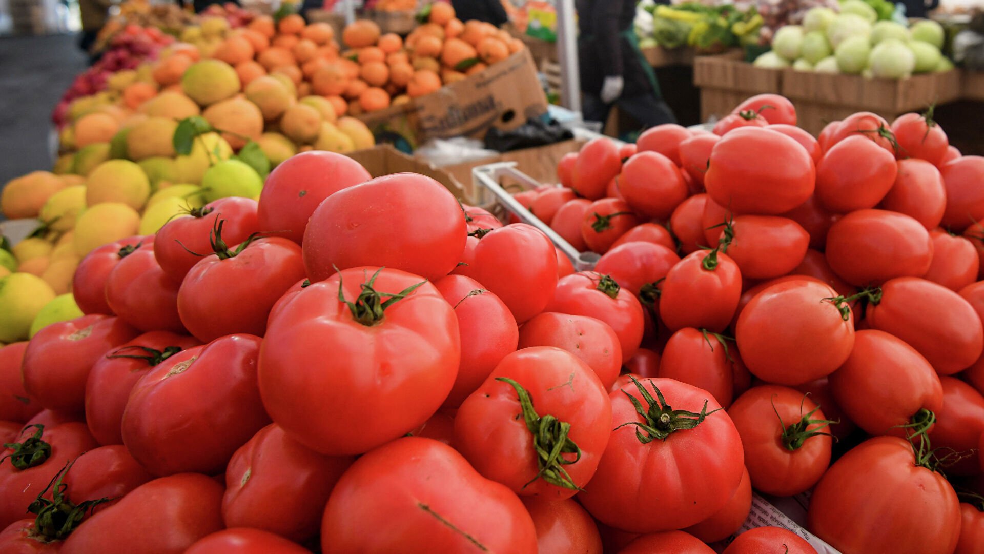 أسعار الطماطم تسجل ارتفاعا صاروخيا