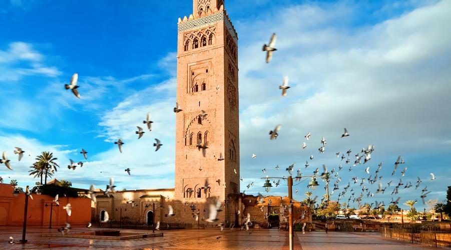 وكالة (بلومبرغ) : المغرب استقبل العام الماضي حوالي 14 مليون سائح