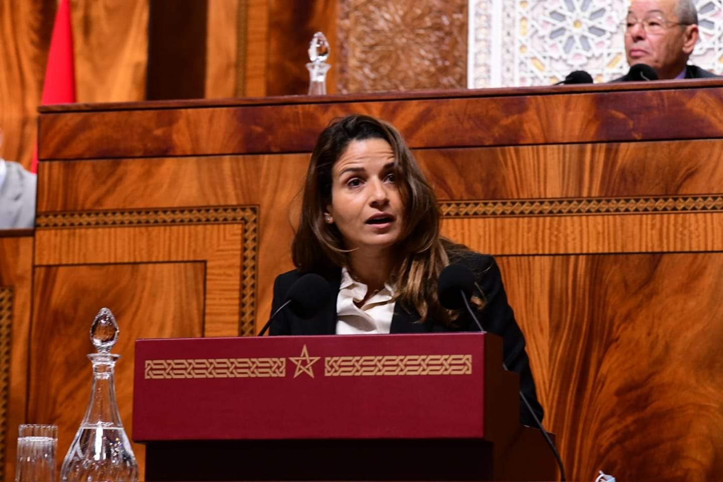 بنعلي تجري سلسلة من المباحثات الثنائية للتباحث حول آفاق الشراكة والتعاون في مجال الانتقال الطاقي والتنمية المستدامة