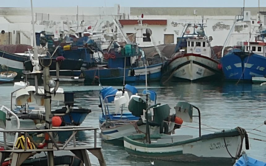 كمية مفرغات الصيد الساحلي والتقليدي بميناء مارتيل بلغت 72 طنا