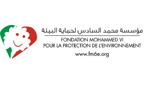   أزيد من 18 ألف شاب إفريقي استفادوا من مبادرة “الشباب الإفريقي من أجل التغيرات المناخية”