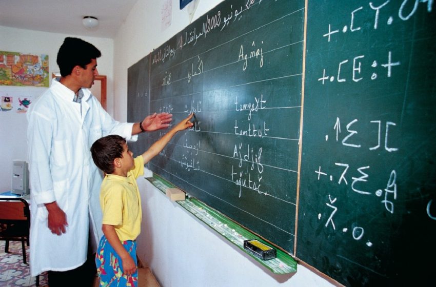انطلاق المحطة الأولى من الدورات التكوينية المنظمة لفائدة أساتذة الأمازيغية بسلك التعليم الابتدائي بجهة طنجة-تطوان-الحسيمة