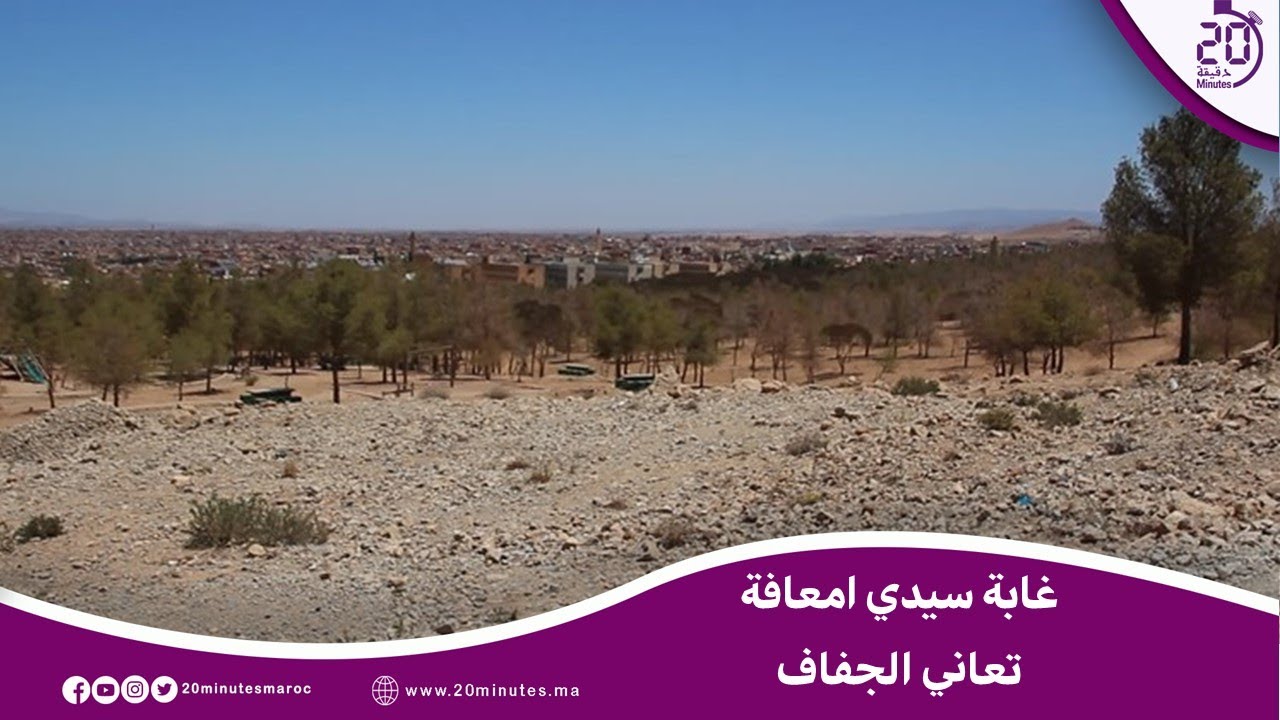 ربورطاج : غابة سيدي امعافة تحتضر …و السلطات في سبات ..وجمعيات تدق ناقوس الخطر