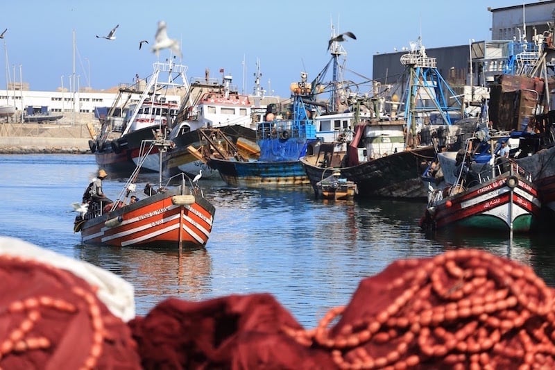 انخفاض الكميات المُفرغة من منتجات الصيد الساحلي والتقليدي على مستوى ميناء المهدية بنسبة 33%