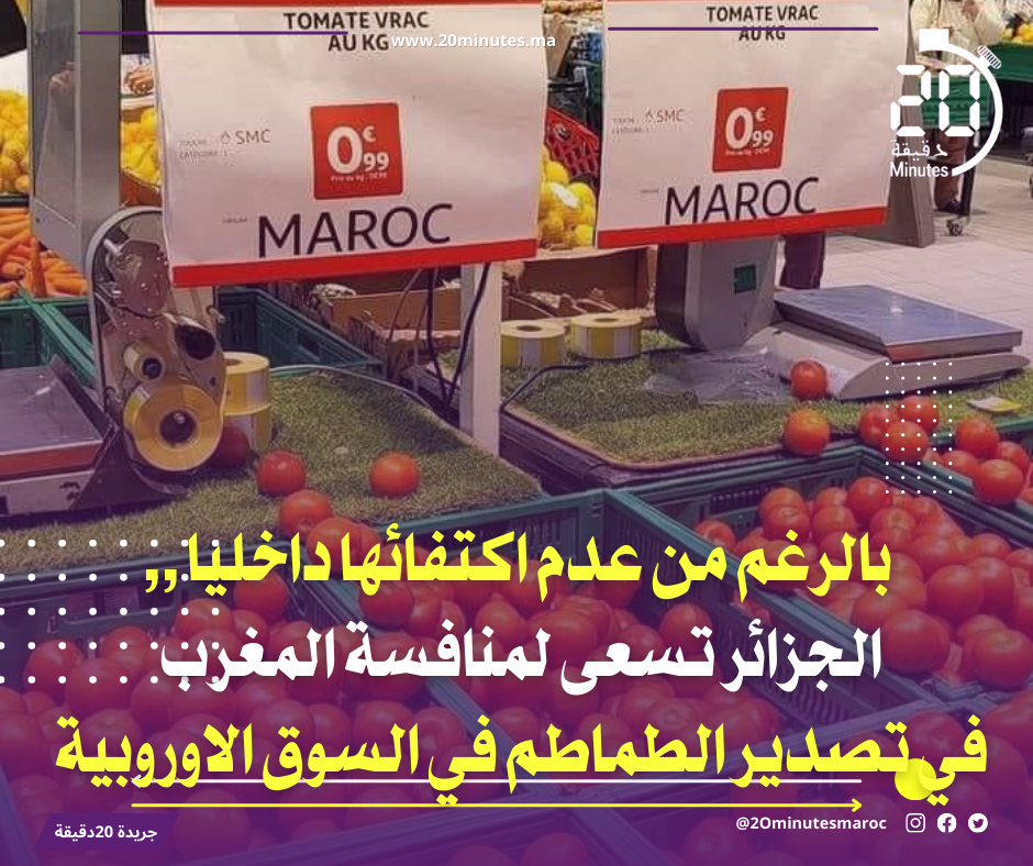 الجزائر تسعى لمنافسة المغرب في تصدير الطماطم
