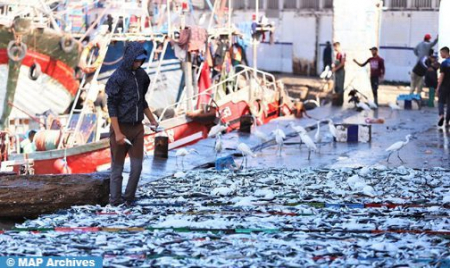   المغرب واليابان يعربان عن إرادتهما المشتركة لتعزيز وإضفاء مزيد من الدينامية على التعاون الثنائي في مجال الصيد البحري