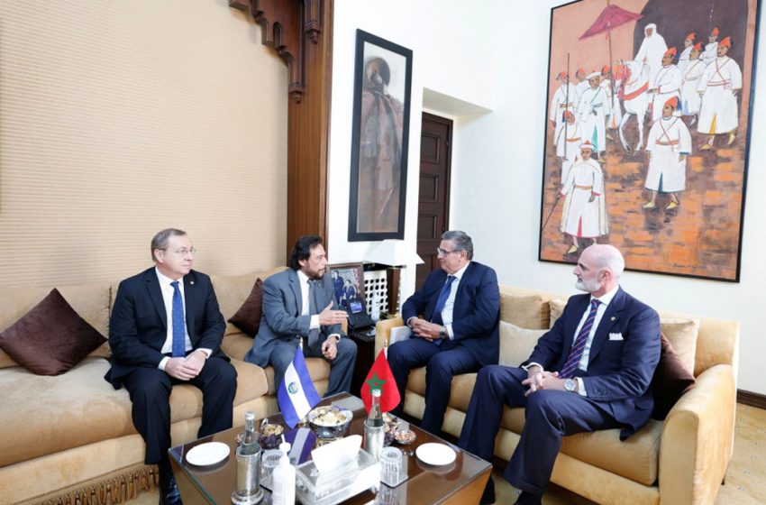 نائب رئيس جمهورية السلفادو: المغرب ارتقى إلى “فاعل رئيسي على الصعيد الإفريقي” وإلى “شريك استراتيجي” لدول الجنوب