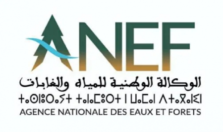  الوكالة الوطنية للمياه والغابات تعتمد التحول الرقمي لتحسين إدارة الأنشطة المرتبطة بالقنص