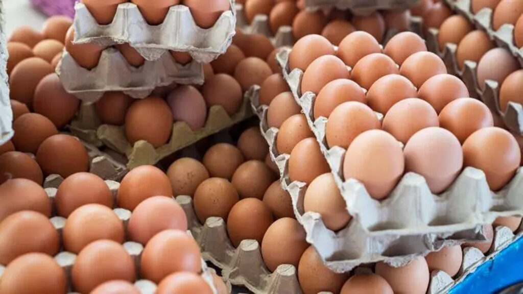 أسعار البيض تسجل ارتفاعا ملحوظا