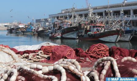 المغرب يعزز استثماراته في تربية الأحياء المائية بهدف خلق 2720 وظيفة بحلول 2025
