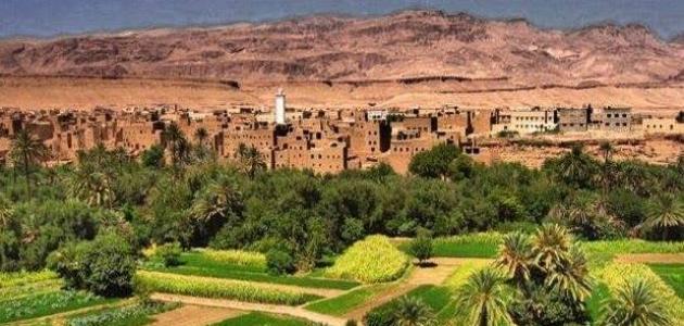 المبادرة الوطنية للتنمية البشرية بتنغير: دعم المرأة القروية لتعزيز التمكين الاجتماعي والاقتصادي
