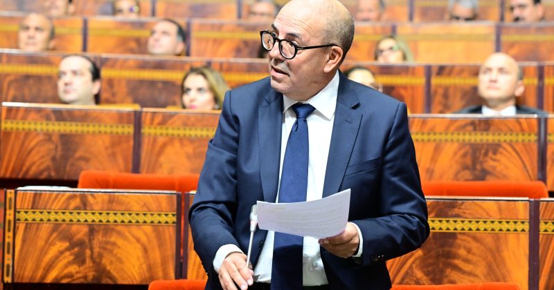 أحمد البواري.. ميزانية الاستثمار في قطاعات الفلاحة والتنمية القروية والمياه والغابات والصيد البحري ستبلغ 17 مليار و 270 مليون درهم