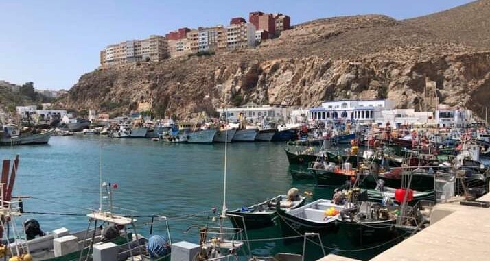 ارتفاع قيمة مفرغات الصيد بميناء الحسيمة رغم تراجع الكميات