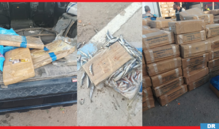إجهاض محاولة لتهريب شحنات من المخدرات كانت على متن شاحنة للنقل الدولي مسجلة بالمغرب