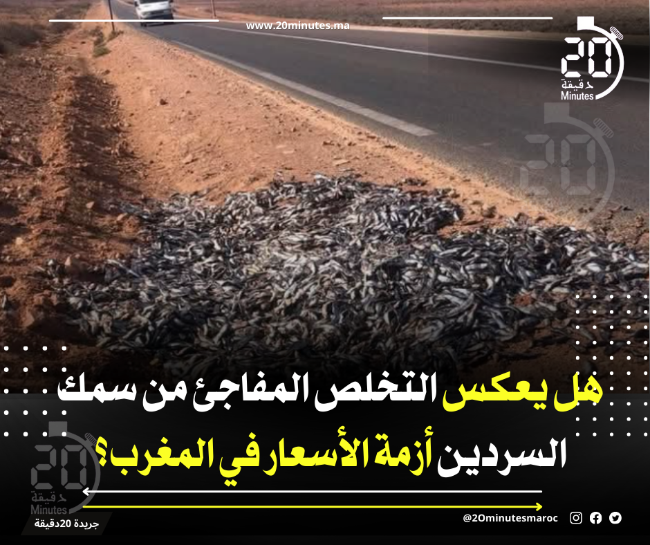 هل يعكس التخلص المفاجئ من سمك السردين في سيدي إفني أزمة الأسعار في المغرب؟