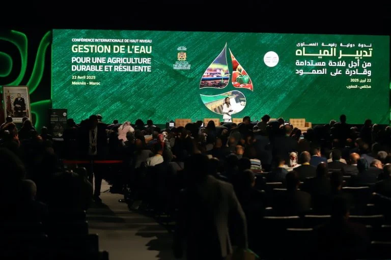 بعد 7 سنوات من الجفاف: 41% ارتفاع في محصول الحبوب وعودة قوية للفلاحة المغربية