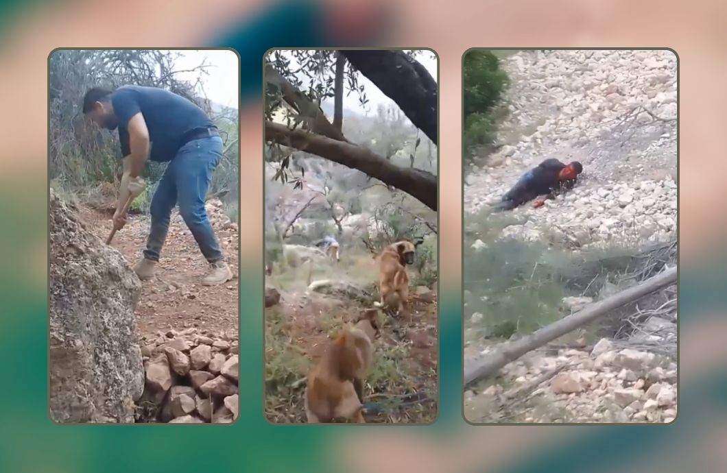 جريمة مروعة بصفرو.. فلاح يُقتل في حقله أمام زوجته بهجوم بالحجارة وكلاب شرسة
