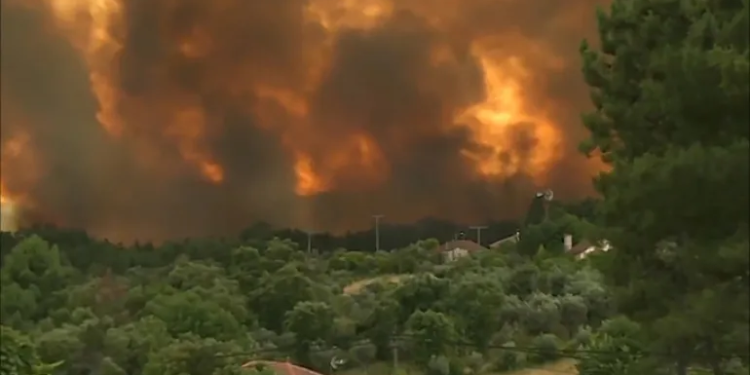 حريق مهول بغابة هوارة يلتهم 37 هكتارًا ويهدد مرافق حيوية بين طنجة وأصيلة