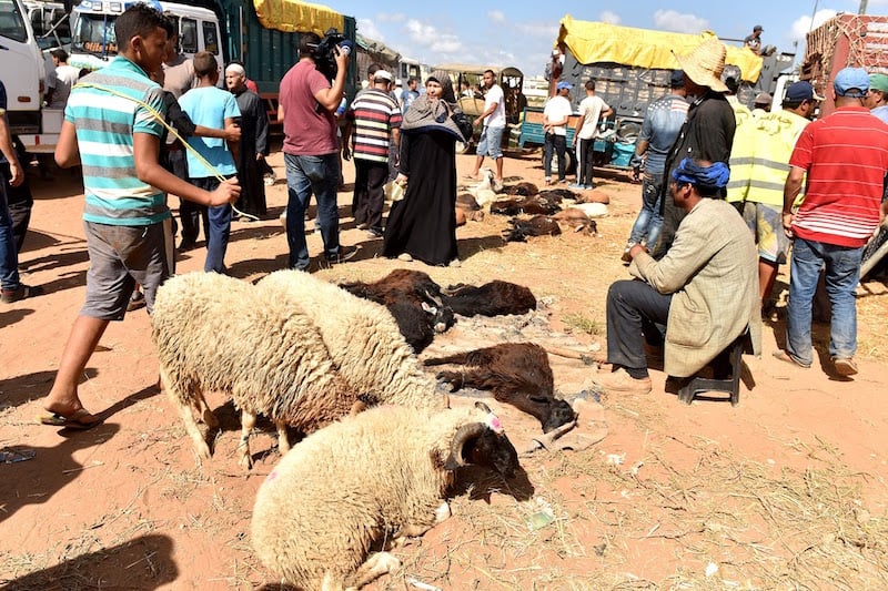 طنجة.. السلطات تبدأ تنفيذ أوامر منع ذبح الأضاحي وتُغلق محلات شي الرؤوس بسوق “برا”