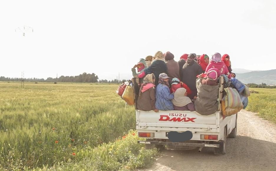 مأساة جديدة تسلط الضوء على معاناة العاملات الفلاحيات بالمغرب: مطالب برلمانية بإجراءات عاجلة لحمايتهن