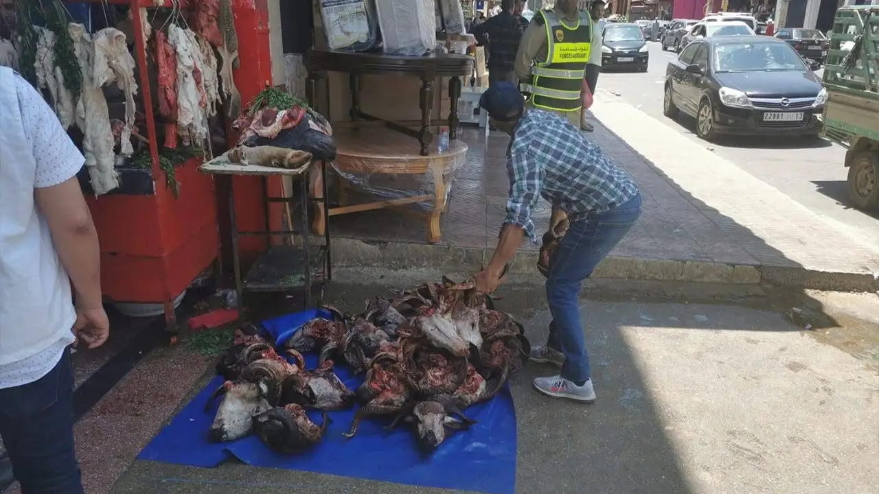 حجز رؤوس غنم في ظروف غير صحية يثير القلق قبيل عيد الأضحى